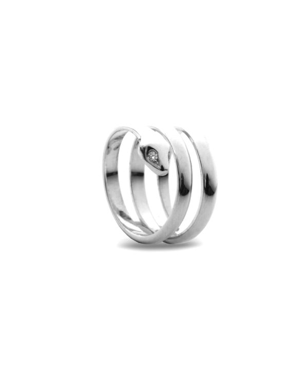 The Serpent's Legacy Ring